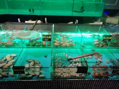 -JUKEBOX玖部音乐餐厅(华侨城店)