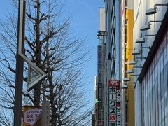 -秋叶原电器街