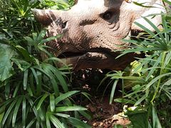 -海南热带野生动植物园
