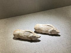 -仪征博物馆