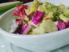 阿西娅大拌菜-阿西娅食府(中关村店)