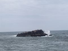 -阿军排档·烧烤