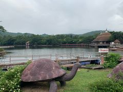 -清迈夜间动物园