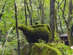 -牛背梁国家森林公园