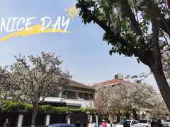 景点-天津五大道文化旅游区