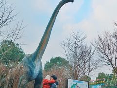 -自然谷恐龙园