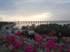 景点-宝安西湾红树林湿地公园