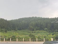 -西江传说•酸汤鱼(水东路店)