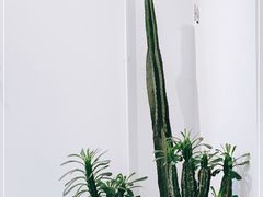 -收获咖啡HARVEST RESERVE(苍山店)