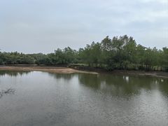 -沙美村