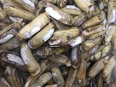 -宾朋海鲜特色美食餐厅·纯手工鲅鱼水饺(兴海路店)