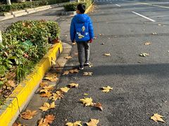 -上海大自然野生昆虫馆(东方明珠·爬宠昆虫探索中心)
