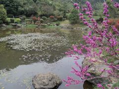 -桃花岭景区