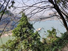 -铁山坪森林公园