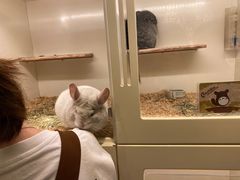 -龙猫仔乐园(惠福东路店)