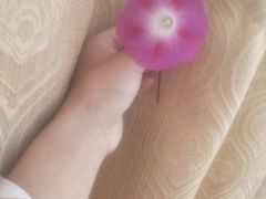 -段氏足疗养生馆(十年老店)