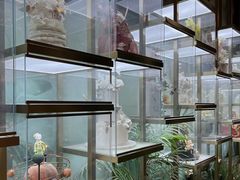 -柏尼娅PEARIA·蛋糕定制(静安店)