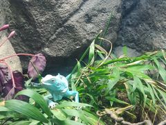 -成都浩海立方海洋公园