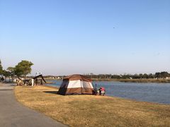 -春花秋色城市公园