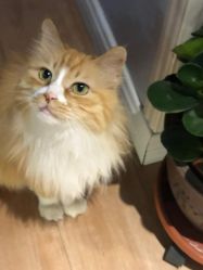 -沫儿·美甲美睫·半永久·皮肤管理