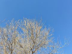 -青藏高原野生动物园