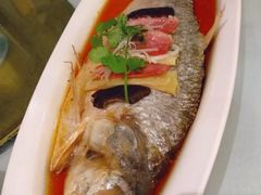 -丰收日(五角场店)