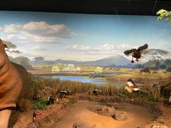 -陕西自然博物馆