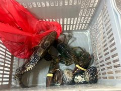 -外滩18号海鲜(三亚湾龙兴海鲜广场店)