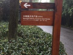 -成都大熊猫繁育研究基地