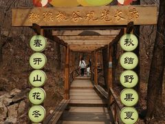 景点-大岭沟猕猴桃谷风景区