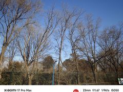 -森林公园(尖草坪区)