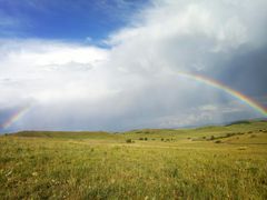 -塞罕坝国家级自然保护区