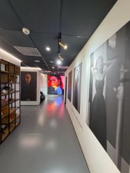 -左岸摄影写真(天津旗舰店)