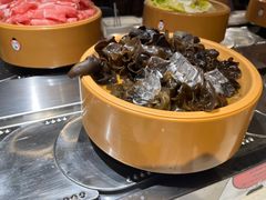 -龍歌自助小火锅(城阳万象汇店)