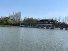 -沙家浜风景区