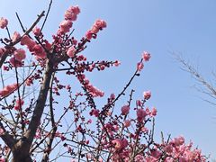 -鹦鹉寺公园