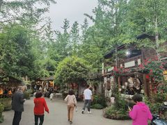 -青城甲(青城山店)