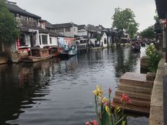 -西塘人家•黑金冠本地好店
