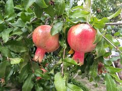 -威海大水泊国际机场