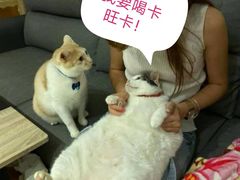 -卡旺卡(淮北鼎盛国际店)