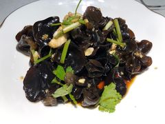-洞庭家宴·头牌甲鱼(广渠门店)