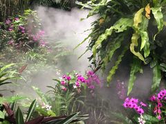 -呀诺达热带雨林
