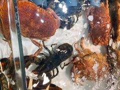 -万龙洲海鲜(南新仓店)