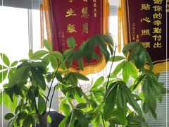 -阿姨来了月嫂服务中心(徐汇店)