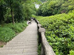 -梧桐山风景名胜区