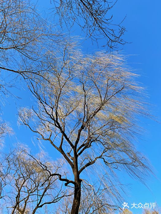 朝阳公园景点图片