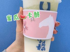 -春丽小马(济南恒隆广场店)