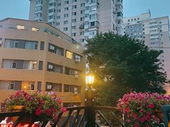 -自由之丘