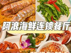 -亚龙湾热带天堂森林公园
