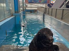 -成都浩海立方海洋公园